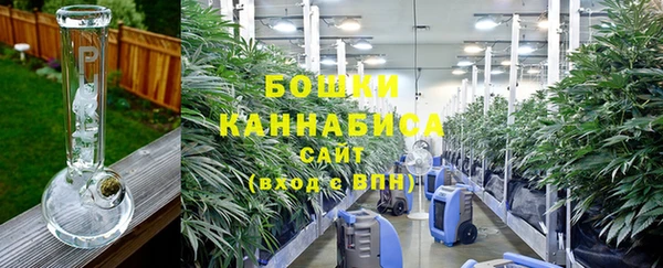 PSILOCYBIN Балахна