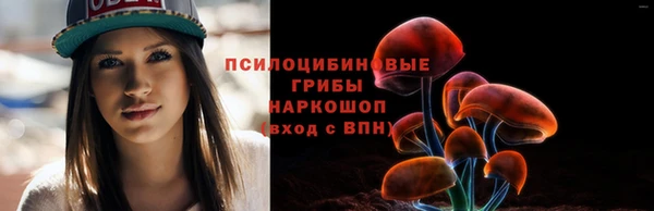 PSILOCYBIN Балахна