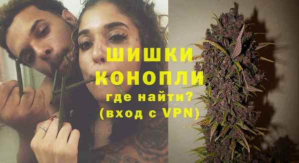 PSILOCYBIN Балахна
