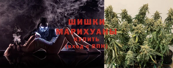 PSILOCYBIN Балахна