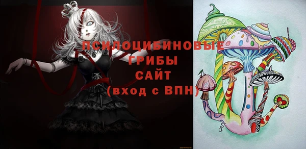 PSILOCYBIN Балахна