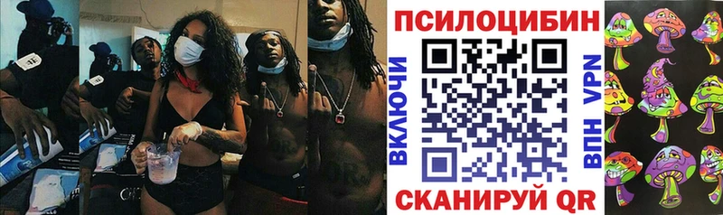 где найти наркотики  Власиха  Псилоцибиновые грибы мухоморы 